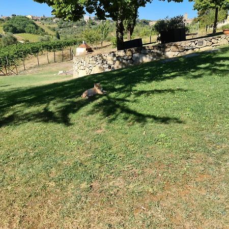 Villa Casalta Agriturismo Castellina in Chianti Exteriér fotografie